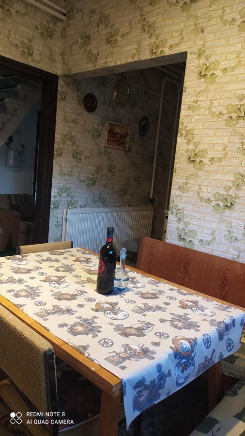 Abacsko Haz Villa Abádszalók Dış mekan fotoğraf