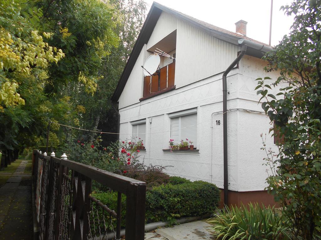 Abacsko Haz Villa Abádszalók Dış mekan fotoğraf