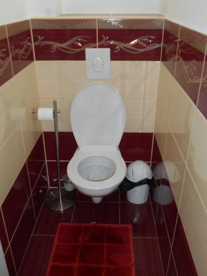 Abacsko Haz Villa Abádszalók Dış mekan fotoğraf